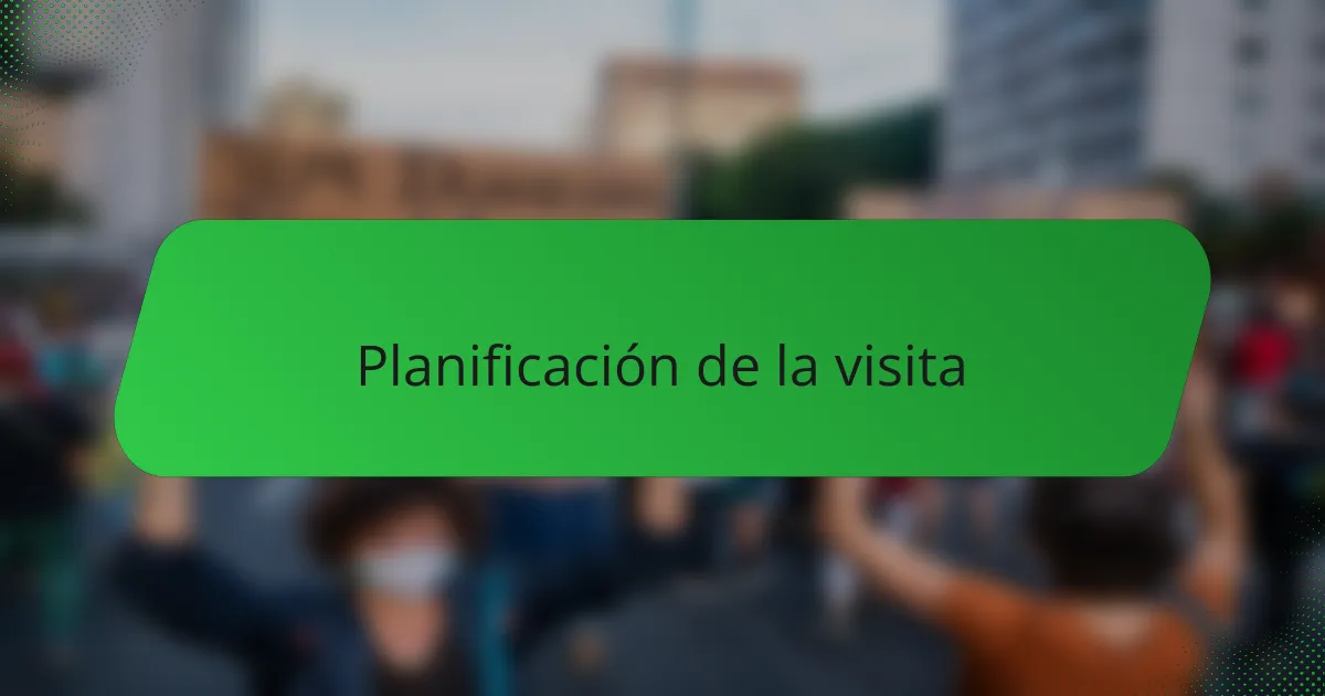 Planificación de la visita
